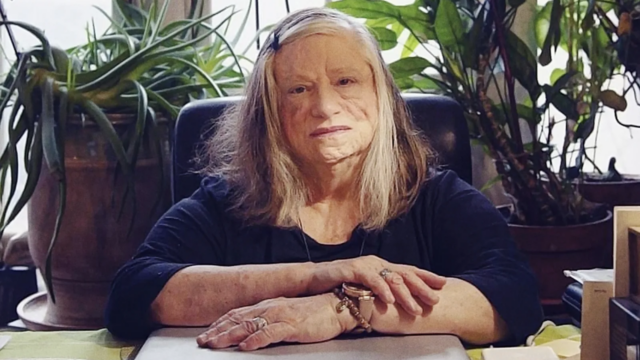 Dara Birnbaum  1946-2025